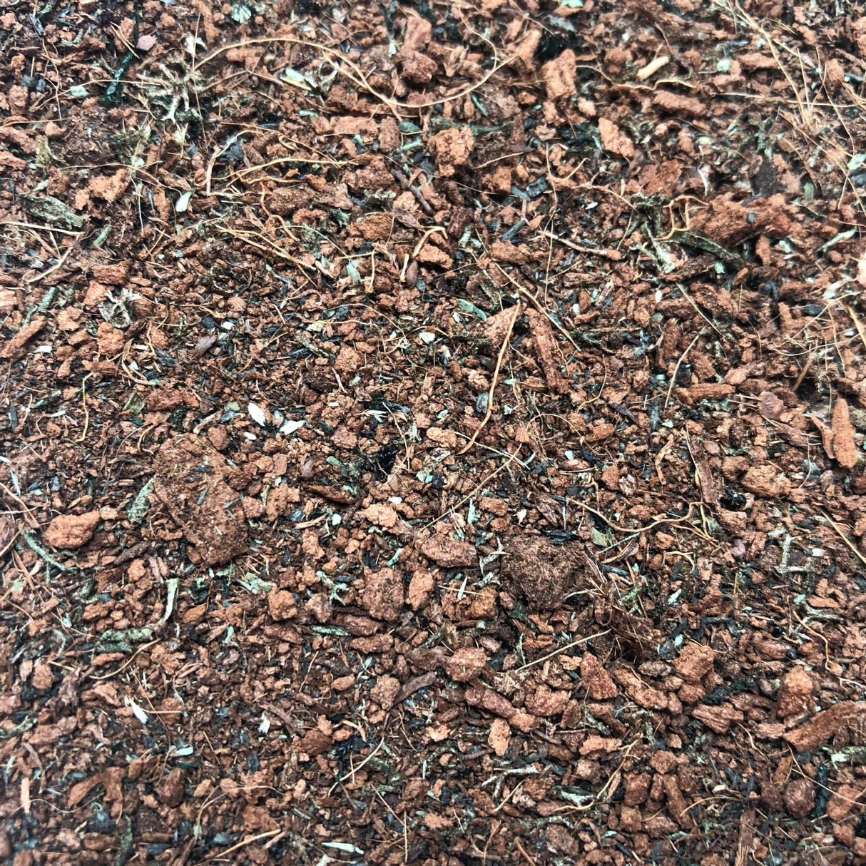 BR010-OO Forest Floor Instant Scatter (100ml)
