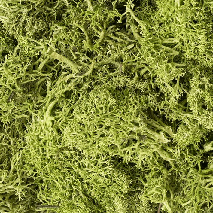 Woodland Scenics L162 Light Green Lichen