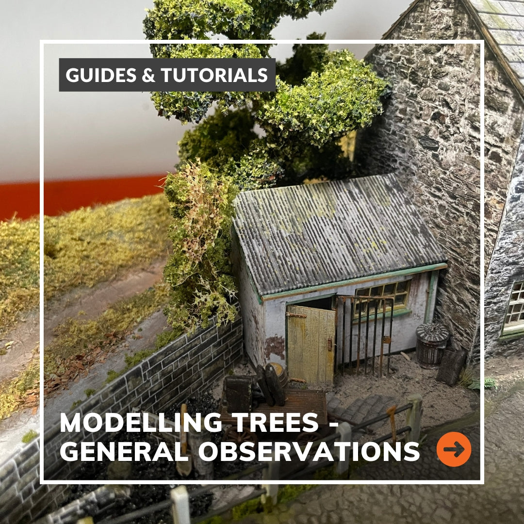 Modelling Trees - General Observations