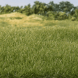 4 mm Medium Green Static Grass by All Game Terrain G6572