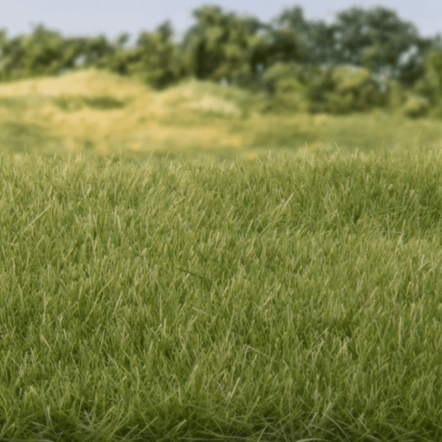 4 mm Medium Green Static Grass by All Game Terrain G6572