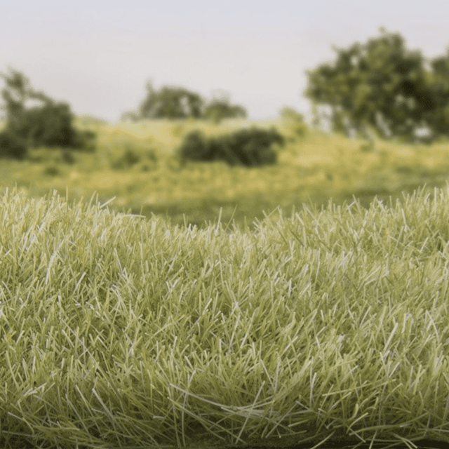 7 mm Light Green Static Grass by All Game Terrain 6583