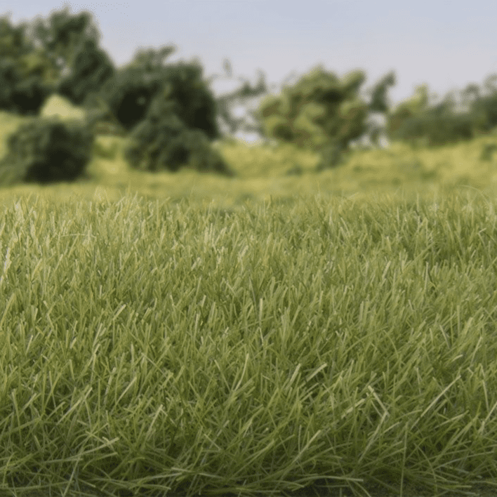 7 mm Medium Green Static Grass by All Game Terrain G6584