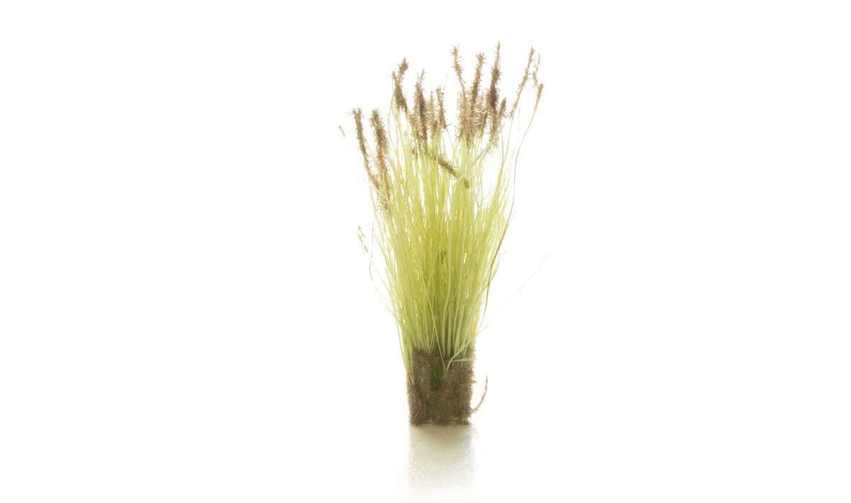 Cattails Tufts by All Game Terrain G6633