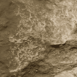 Earth Undercoat Terrain Paint by Woodland Scenics C1229