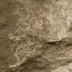 Earth Undercoat Terrain Paint by Woodland Scenics C1229