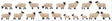 Faller 151918 Black-headed Sheep (Pack of 18)  OO/HO