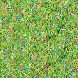 Gaugemaster GM1200 Flower Meadow Grass Scatter