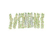 Gaugemaster GM1662 Virginia Creepers (Pack of 12)