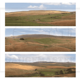 Gaugemaster GM711 Moors Scene (Large Backscene) OO/HO