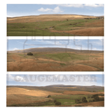 Gaugemaster GM761 The Moors (Small Backscene) TT:120 / N