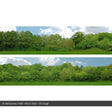 ID Backscenes 149B Trees OO/HO 15" Backscene