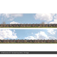 ID Backscenes 401 Terraced House Backs OO/HO 15" Backscene
