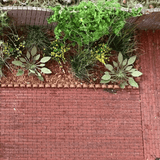 LX556-OO Brick Garden Path & Yard With Edging - OO/4mm/1:76