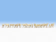 Noch 15749 Sheep (Pack Of 14) (OO/HO)