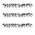 Noch 16164 Black & White Cows XL Set (Pack of 21) - OO/HO