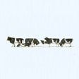 Preiser 10145 Cows With Black Markings OO/HO