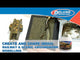Deluxe Materials BD-60 Create and Shape (240ml)