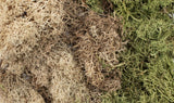 Winter Mix EZ Bushes by All Game Terrain G6500