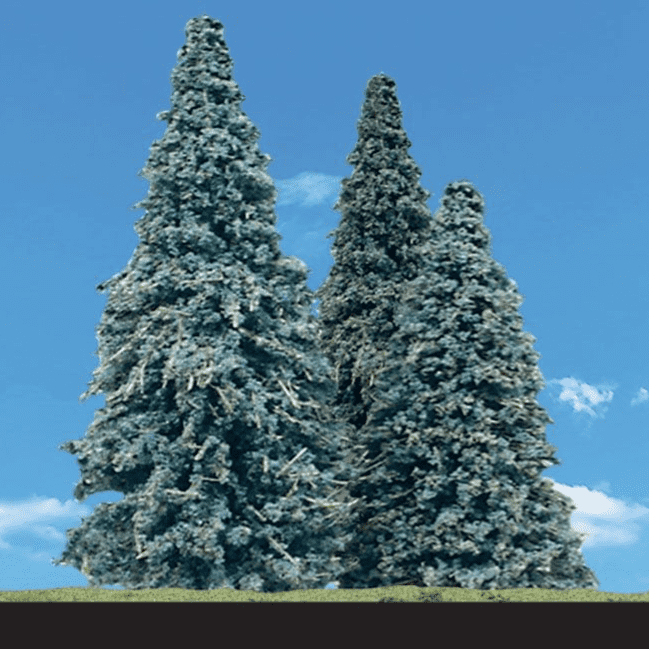 Woodland Scenics 2 "-3 ½" Classic Blue Needle (5/Pk) TR3566