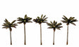 Woodland Scenics 4¾"-5¼" Classic Large Palm Trees (5/Pk) TR3598
