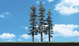 Woodland Scenics 4"-6" Classic Standing Timber (4/Pk) TR3561