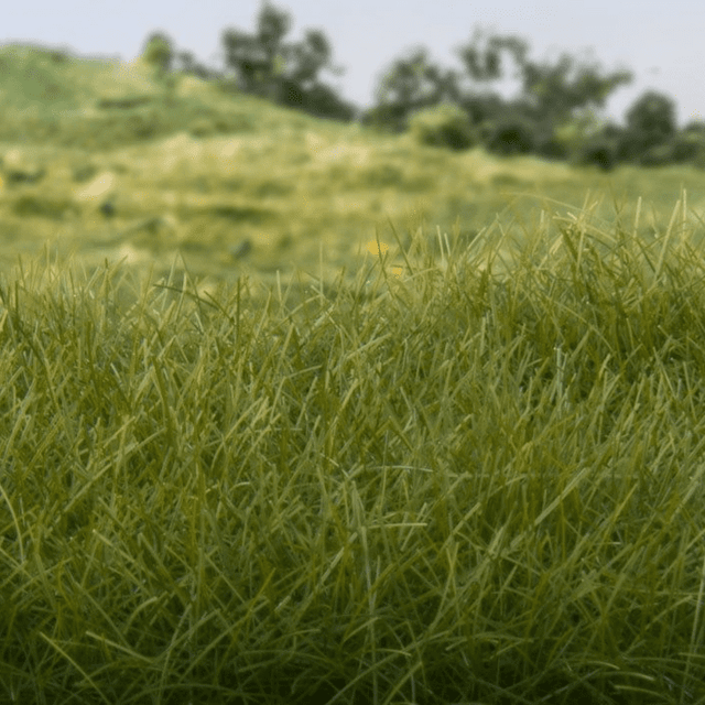 Woodland Scenics Dark Green Static Grass