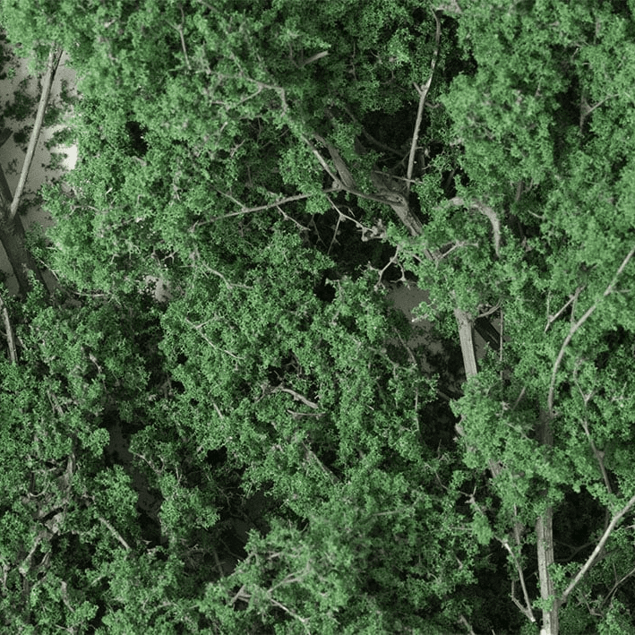 Woodland Scenics F1130 Fine-Leaf Foliage Dark Green