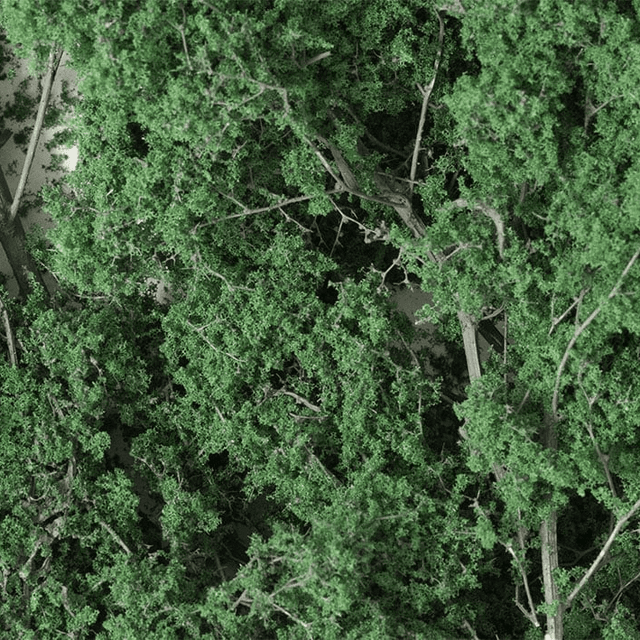 Woodland Scenics F1130 Fine-Leaf Foliage Dark Green