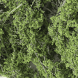 Woodland Scenics F1131 Fine-Leaf Foliage Medium Green
