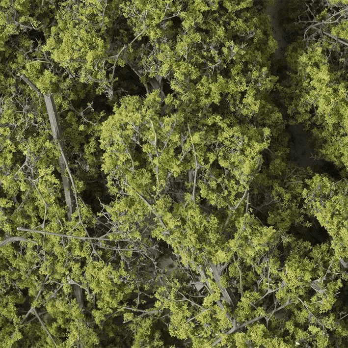 Woodland Scenics F1132 Fine-Leaf Foliage Light Green