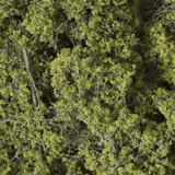 Woodland Scenics F1132 Fine-Leaf Foliage Light Green