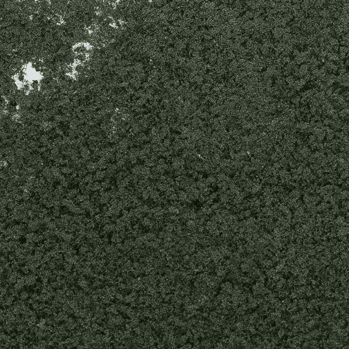 Woodland Scenics F54 Conifer Green Foliage