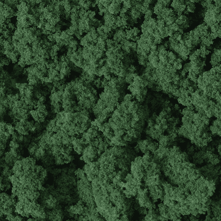 Woodland Scenics FC684 Dark Green Clump Foliage