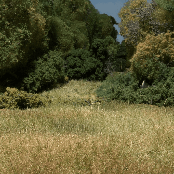 Woodland Scenics FS629 Plant Hues  Natural Foliage Colours