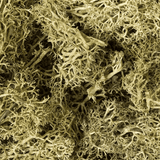 Woodland Scenics L161 Spring Green Lichen