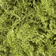 Woodland Scenics L162 Light Green Lichen