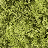 Woodland Scenics L162 Light Green Lichen