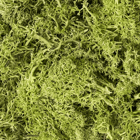 Woodland Scenics L162 Light Green Lichen