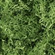 Woodland Scenics L163 Medium Green Lichen