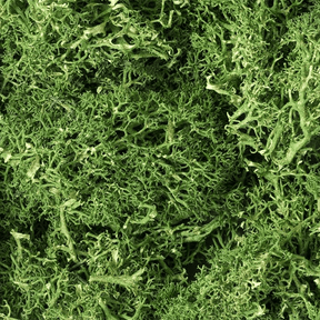 Woodland Scenics L163 Medium Green Lichen