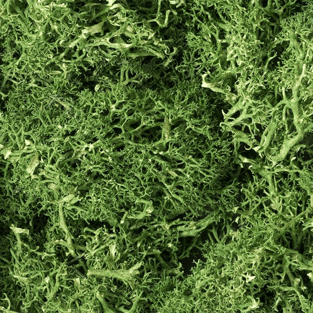 Woodland Scenics L163 Medium Green Lichen