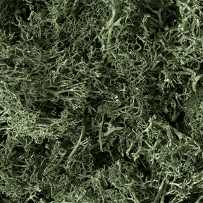 Woodland Scenics L164 Dark Green Lichen