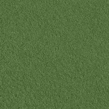 Woodland Scenics T46 Fine Turf Weeds Bag