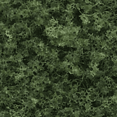 Woodland Scenics TR1112 Realistic Deciduous Trees Kit (Makes 6 Trees, 3 to 7" Tall)