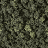 Woodland Scenics TR1113 Realistic Pine Trees Kit (Makes 24 Trees)